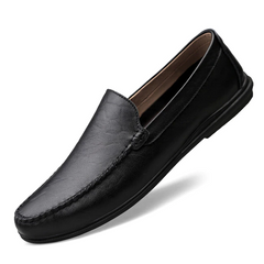 Arion Men's Loafers Luxury Shoes