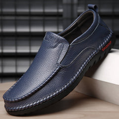 Dantte Men's Loafer Shoes