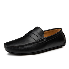 Darwin Men's Loafer Shoes