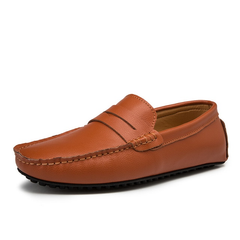 Darwin Men's Loafer Shoes