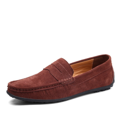 Darwin Men's Loafer Shoes