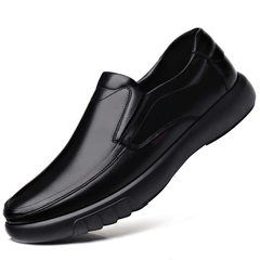 Haiden Men's Loafers Luxury Shoes