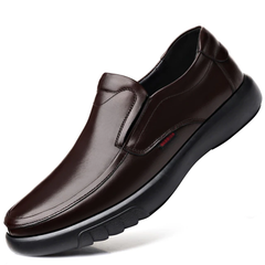 Haiden Men's Loafers Luxury Shoes
