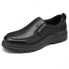 Roberth Men's Loafer Shoes