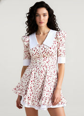 V-Neck Floral Puff Sleeve Babydoll Mini Dress