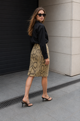 Snake Print High-Waist A-Line Skirt