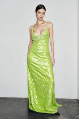 Stunning Sequin Dress