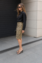 Snake Print High-Waist A-Line Skirt