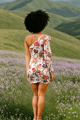 Women Fashion Floral Print Cutout Lantern Long Sleeve Dress