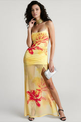 Printed Silk Mesh Ruched Bodycon Vacation Dress