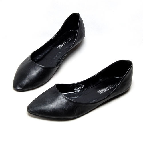 Anisa Women's Pointed Toe Flat