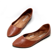Anisa Women's Pointed Toe Flat