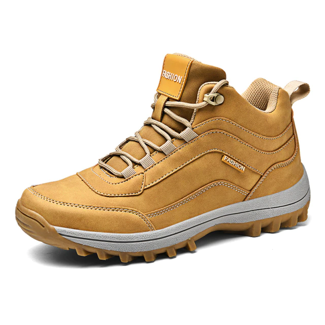 Cardiff Men's Hiking Shoes
