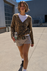 Leopard Print V Neck Knit Blouse