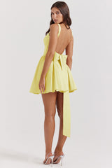 butterfly tie Mini Dress
