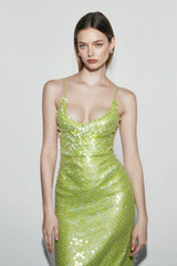 Stunning Sequin Dress
