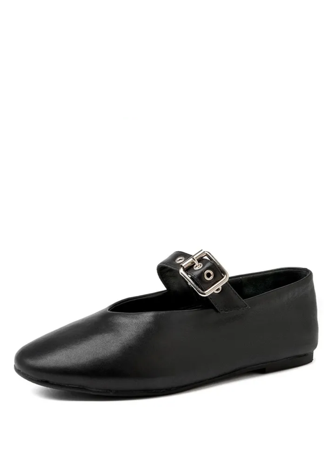 Lucy Women's Pointed Toe Ballet Flat Shoes