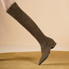 Eladia Women's Suede Thigh High Boots