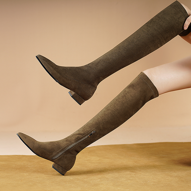 Eladia Women's Suede Thigh High Boots
