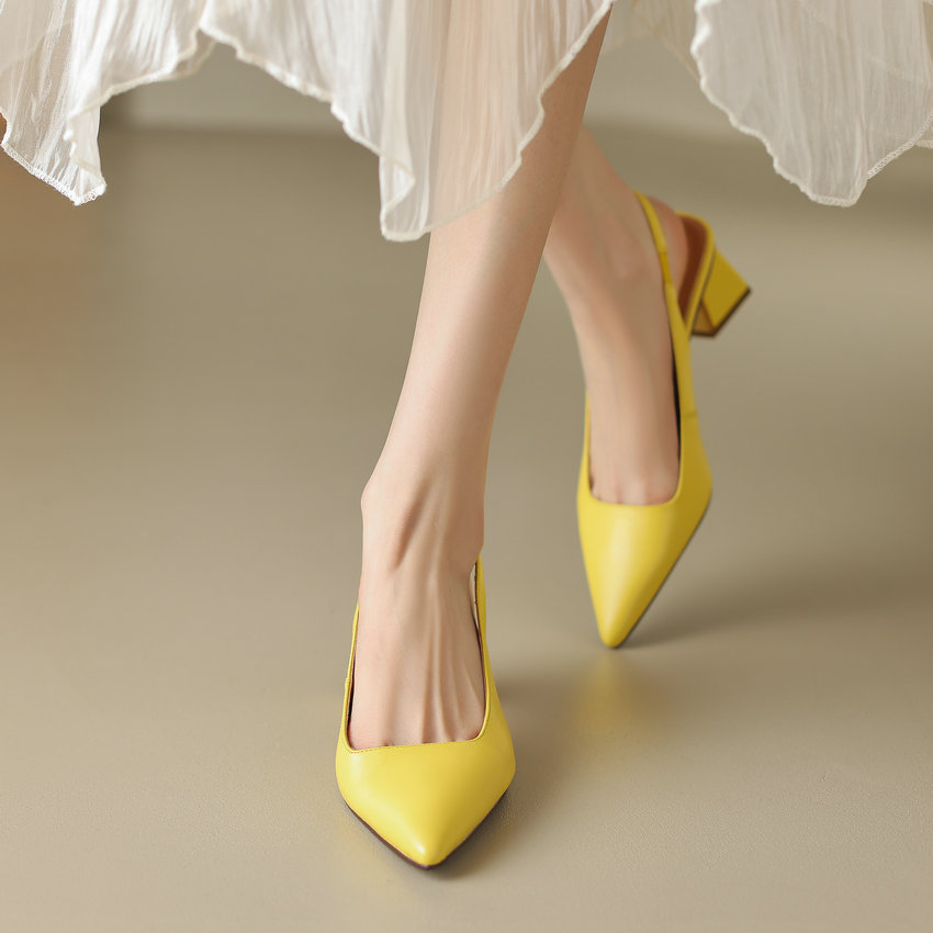 Lucia Women's Pointed Toe Pump