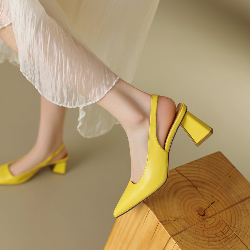 Lucia Women's Pointed Toe Pump